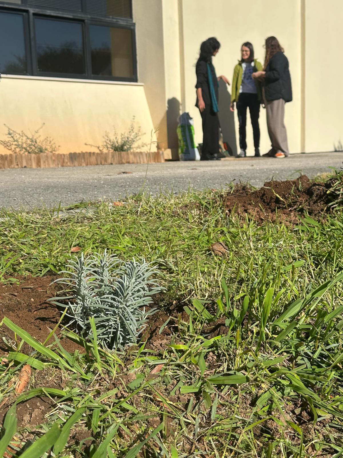 Mobilność Erasmus+ Portugalia